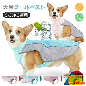  Ђ N[xXg N[EGA ^ ^  ^Ngbv ΍ ̉ ăoe\h  L   U ybg ʋC K  _炩 bV ڐG⊴