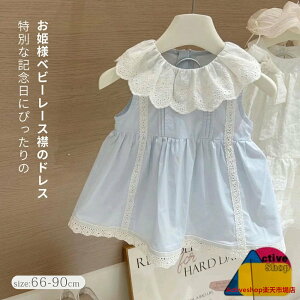 xr[hX Pls[Xo[Xf[ hX xr[ ̎q [X މ@ Zj[hX H hX {Q 100j aj ؍t@bV LbY Z