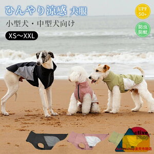  N[EGA Ђ  bV xXg h ʋC K  ^Ngbv ybg ^ ^  hbOEGA ΍ 悯   _炩 ڐG⊴ U 