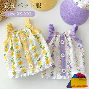 t ybg ^ ^  ԕ L~\[ t  m hbOEGA SNSf LbgEGA  L t ʋC  EȒP Be ʐ^ INS  _炩 L~ XS S M L 