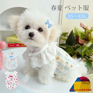 t ybg  [X t ^Ngbv ^ ^ m  ʋC  DOt   ʐ^ ins hbOEGA LbgEGA L ё΍ ԕ xXg EȒP 