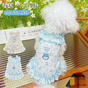 ybg t s[X ^ ^  t ԕ m  ʋC  ʐ^ DOt  hbOEGA LbgEGA L ybg I[o[I[ EȒP  U