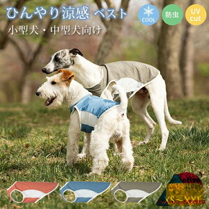  Ђ bV xXg ^Ngbv N[EGA h ybg ^ ^   hbOEGA ΍ 悯  ʋC K  _炩 ڐG⊴ U o