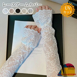 [X A[Jo[ fB[X    rJo[  ʋ ʊw ^] AEghA X|[c ] ̎q Ђ  Ăh~ UVJbg O΍ ~ 