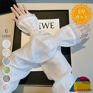 A[Jo[ [X  Ђ Ăh~ UVJbg rJo[ fB[X  ̎q   ~ ʋC Lk _炩 t  ʋ ʊw ^] AEghA X|[