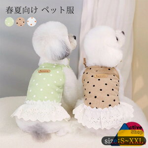   t [EGA    ybg hbOEGA LbgEGA ^ ^ Jo[I[ p[X EȒP ё΍  ʋC K  _炩 L