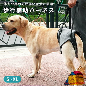 pn[lX  둫 s⏕ ybgp n[lX V 㑫p ^ ^ ^  nr _炩 ʋC p sT|[g 萫  ֐ U [h IXEXp