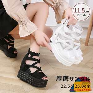 ₷ T_ fB[X  q[11.5cm EFbW\[ ANXgbv  [}X^C OfBG[^[ r 芴 NXXgbv  I[vgD T}[ 