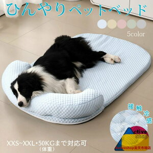 ybg}bg L p 􂦂 t ybgNbV  Ђ ⊴ ڐG⊴ ybgxbh ybgpbNXxbh ybgV[c ybg xbh NbV ybgQ}bg \