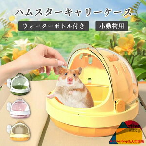 nX^[L[P[X P[W p EH[^[{gt t ʋC ybgOoP[W ړ o Up s ʉ@ t X tFbg nlY~ ETM