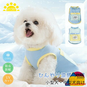   ^Ngbv  Ђ N[EGA ʋC K   ^ ^ ΍ 悯 _炩 bV xXg ڐG⊴ U o hbOEGA LbgE