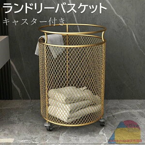 y2024Vzh[oXPbg  e nCtFX JS ȃXy[X  |ɂ [  h[ oXPbg 󕨓 ʏ  WJS 