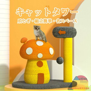 Lbg^[ L ܂Ƃ ^ ~j ߂Ƃ ܌ ܖ }bV[̌` VR[v ؐ u {[ t ^s ]|h~ 萫 gȒP ȃXy[