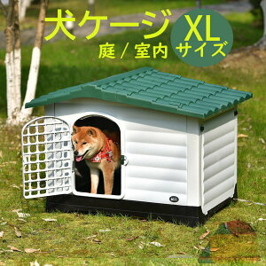 yXLTCY z O ^ hAt ybgnEX ybgP[W vX`bN   O ybgQ[W IV {unEX ybgnEX ybgT[N