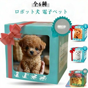 S6 ̂ʂ  {bg dqybg 񂿂  ʂ   ybg  ̎q j̎q a v[g Mtg