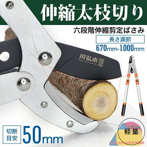 XpƂ ΂  ͂ݎ}؂͂ }؋ |pnT~ K[fjOnT~ ₷ |΂ ͂ p ƒ؉ | A  A ʎp