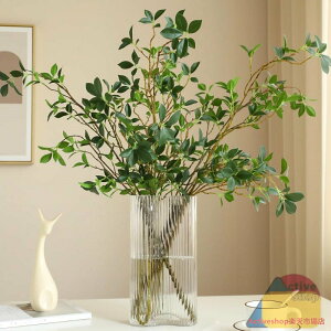 y4{ztFCNO[  A H73cm lHϗtA }   X fBXvC  CeA  k  ItBX ݑ tFCNA sv ͂Ȃ ~͐A 