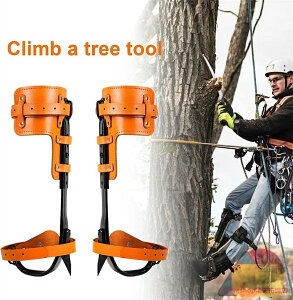 ؓoC ؓo ؓo蓹 یxg XeX| ؓoc[ ؓoA[eBt@N ɓoRXpCN ŒXgbvt h~ ؂̑o  oR؂̌C c[NC~