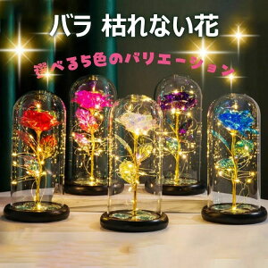 �o�� �͂�Ȃ��� ���� �K�N �S�[���h���b�L���[�Y �t�����[���C�g LED���C�g�t�� �d�r�� �ԑ� �v���[���g�o�� �L���L�� �K���X�h�[�� �N���X�}�X �o�����^�C���f�[ �t�����[ �v���[���g ���