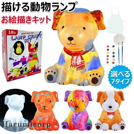 描ける 動物ランプ 描ける 猫ランプ 恐竜 ユニコーン ネコ ウサギ 犬 フクロウ クマ ランプ お絵描きキット 絵の具セット 工作キット DIY 手作りキット 間接照明 ナイトライト 子供 メイキングトイ 男の子 女の子 お誕生日 お祭り クリスマス ハロウィーン プレゼント ギフト