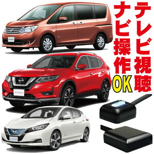 Zi GNXgC [t eBAi GT-R LZ[ C26 T32 AZE0 ZE1 L33 R35 s erLbg irLbg TV  f  ir MOPY jbT NISSAN  W NAVI Wp[ 