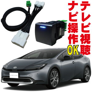 vEX PHEV HV LZ[ s erLbg irLbg  f   ZVW60 ZVW65 MXWH60 MXWH65 fBXvCI[fBI Plus MOP TV  g^ NAVI Wp[ Jv[I R5.1- Rl