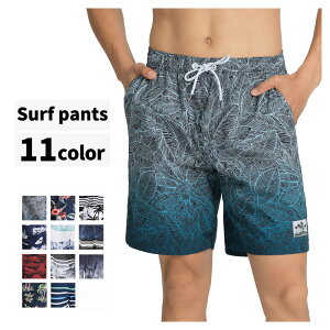 yBFN[|zzz  Y T[tpc Cp T[tV[c {[hV[c n[tpc Ci[ Ci[t bVK[h 傫TCY ~h O G Ђ v