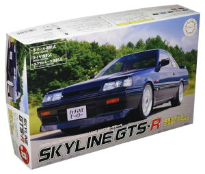 tW~͌^ 1/24 C`AbvV[Y No.13 jbT XJCCGTS-R(HR31) 1987 2hAX|[cN[y v 