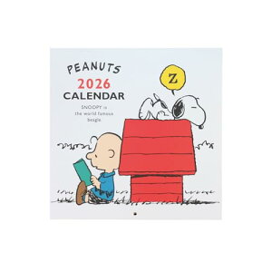 XNGA Xk[s[ 2026N J_[ Ǌ|  36PCA-1 