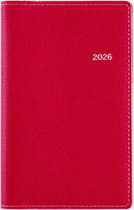 331 Tfbeau (eB[Yr[) jn܂ 4 蒠 X 2026N Xgx[bh EB[N[ 蒠 