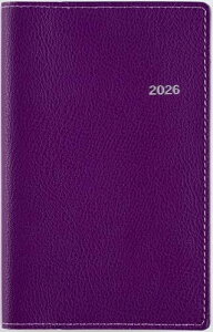 179 Tfbeau (eB[Yr[) jn܂ 7 蒠 X 2026N O[v EB[N[ 蒠 