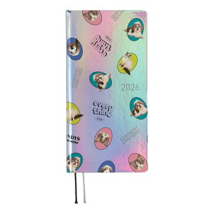 قړ蒠 2026 weeks Candy Stripper/DOG&CAT RANDOM(aurora) 1n܂ TԎ蒠 T 