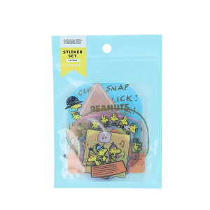 TX^[ Xk[s[ XebJ[ A\[g Cgu[ S8813507 