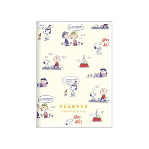 TX^[ Xk[s[ 蒠 2026N  B6 `V S2958929 