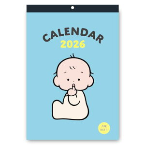 wXeCt 2026 J_[ ̂낤 Ǌ| jn܂ M16502 2026N 1n܂ 