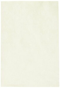 ANTf[ EFV[A WA-13502 