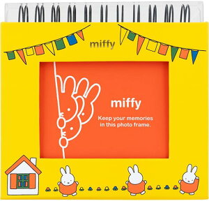 iJoV tHgN t[P[XL u[i ~btB[ CG[ A-FTPC-208-1 