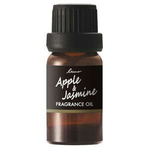 J[Cg ԗp F tOXfBt[U[ p tOXIC Abv&WX~ L10054 