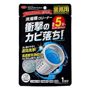 アイメディア(Aimedia) 洗濯槽クリーナー 縦型・ドラム式対応 つけ置き不要 1回分 速攻洗浄 日本製 除菌 消臭 洗浄剤 カビ取 送料無料