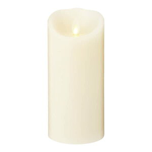 �J�����} LUMINARA �s���[ �A�C�{���[ �X�^���_�[�h�T�C�Y 3.5×5 B0300-00-10IV