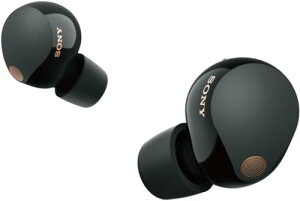 �\�j�[(SONY)���C�����X�m�C�Y�L�����Z�����O�C���z�� WF-1000XM5 :�yVGP2025���܁z / ���S���C�����X/���|�I�m�C�Y�L����