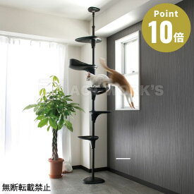 《全2色》OPPO キャットフォレスト ツー Cat Forest-2【ペット用品 ペットグッズ キャットツリー 突っ張り スリム 省スペース キャットタワー 猫 ネコ 猫タワー 運動不足 簡単組立 オッポ】