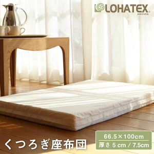 zc 5cm(66.5×100×5cm) 7.5cm(66.5×100×7.5cm) ebNX  Q LOHATEX 났 l炵 NbV }bgX  I[KjbN Rbg 100 