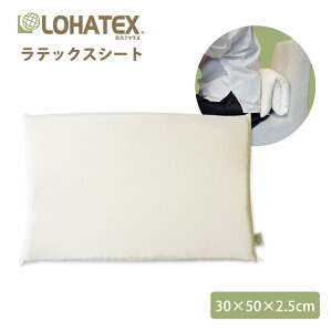 ebNX V[g 2.5cm 40×60×2.5cm LOHATEX  Q NbV AEgJo[t I[KjbNRbg 100% jbg  lbNT|[gs[ TCY  zc  