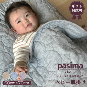 pV[} ̐ng xr[ |V[c 60×70cm ۃLg | V[c zc ^IPbg ѕz Ԃ qǂ K[[ Y  I[V[Y 􂦂 oYj j pasima xr[