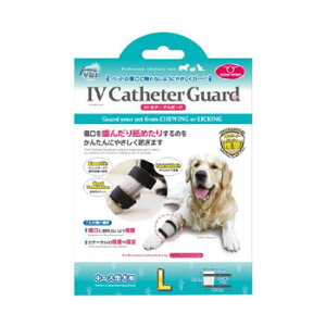 t@^W[[h IV Je[eK[h ybgpveN^[ LTCY IV-L