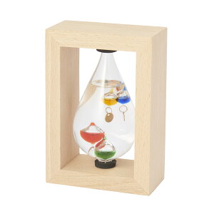 JY Fun Science KXt[gxv (t[t) 333-213