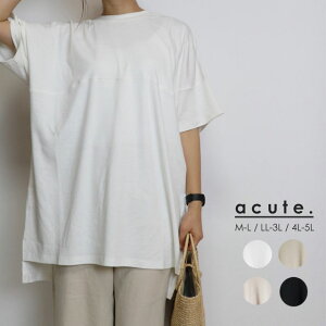 y傫TCYzVOW[W[Jbg\[ k-0236 M L LL 3L 4L 5L gbvX rbOVGbgTVc rbOTVc TVc 傫߃gbvX fB[X lJWA 