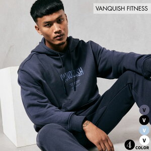 @LbV tBbglX VANQUISH HEAVYWEIGHT DIVISION OVERSIZED I[o[TCY S p[J[ ؃g W g[jO EGA Ki