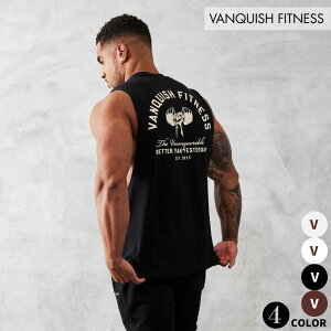 @LbV tBbglX VANQUISH STRENGTH SLEEVELESS T SHIRT S m[X[u TVc ؃g W g[jO EGA Ki